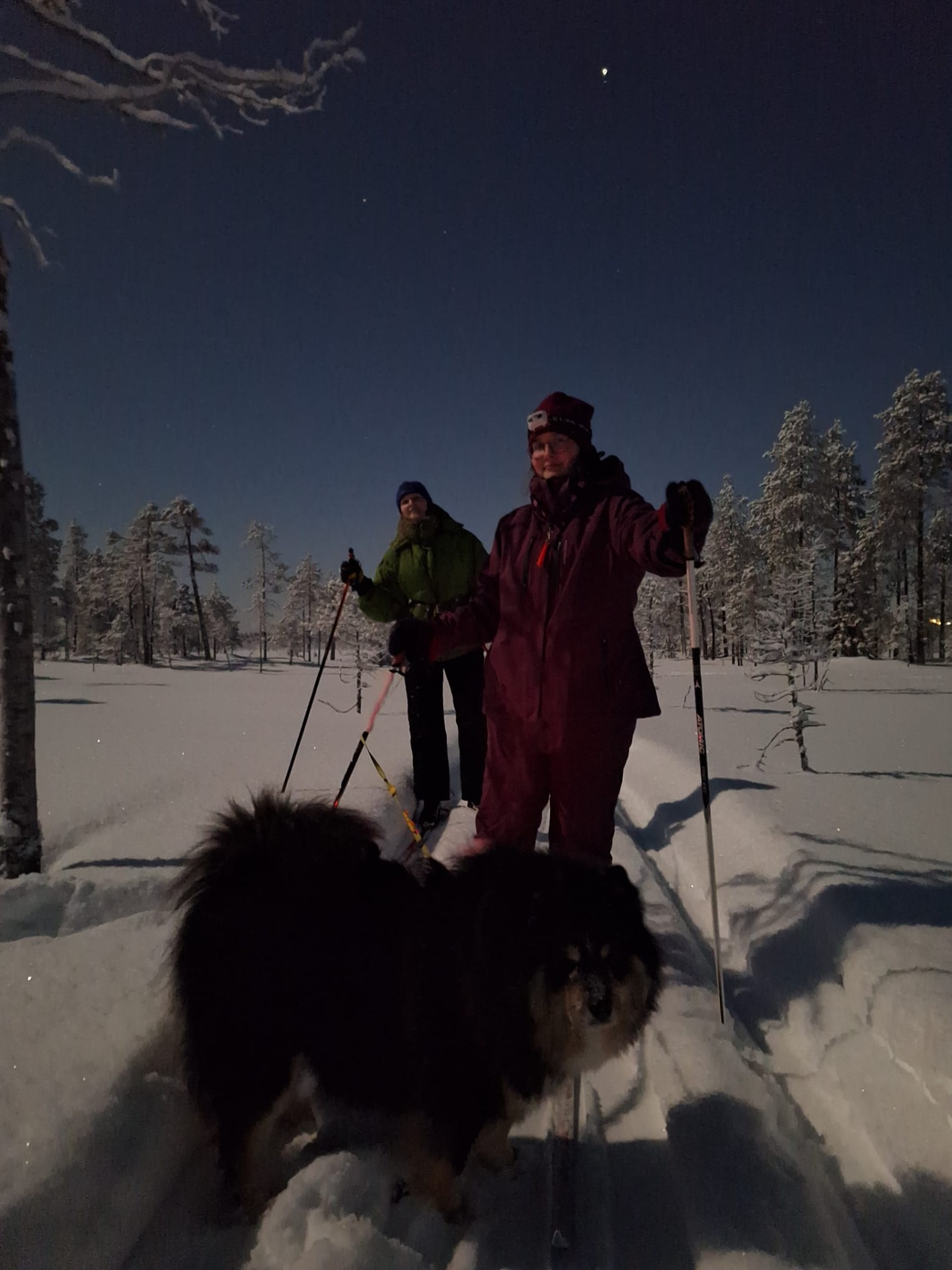 Kuutamokävelyllä Severi koiran kanssa!